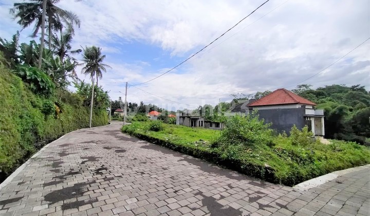 Land 246.0 M² SHM Near Tabanan City Center Dd Land 246.0 M² SHM Near Tabanan City Center Dd