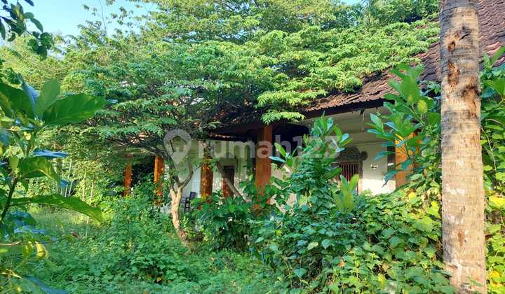 Disewakan Tanah 37 Are Lokasi Dalam Hotel Di Kuta Wn