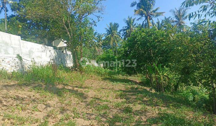 Dijual Tanah 18 Are Cocok Untuk Villa Di Lombok Dd 1