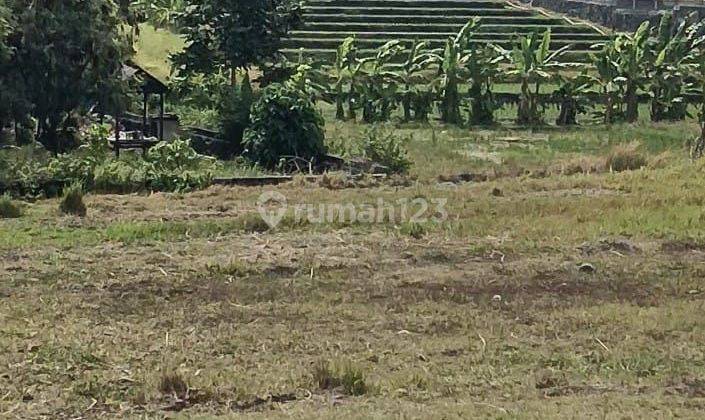 For Sale 7 Are Land SHM IMB Complete Near Canggu IM 1