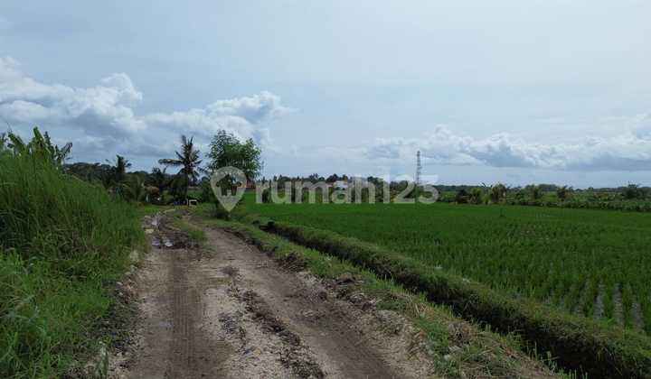 Dijual Tanah 7 Are Lokasi Dekat Lingkungan Villa Pk