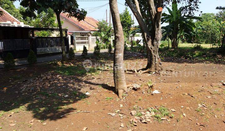 Tanah SHM Bisa Untuk Cluster Di Kayu Manis Tanah Sereal Bogor 2