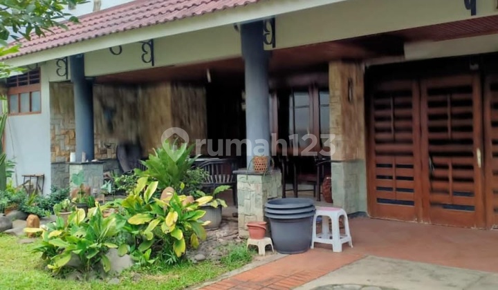 Rumah Asri Bebas Banjir Di Duren Sawit Jakarta Timur Rumah Asri Bebas Banjir Di Duren Sawit Jakarta Timur