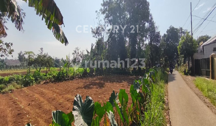 SHM Land Suitable for Cluster Development in Kayu Manis, Tanah Sereal, Bogor. SHM Land Suitable for Cluster Development in Kayu Manis, Tanah Sereal, Bogor.