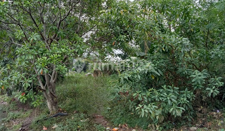 Kavling Cimanggis, tepi Setu, Bojong Gede, Bogor