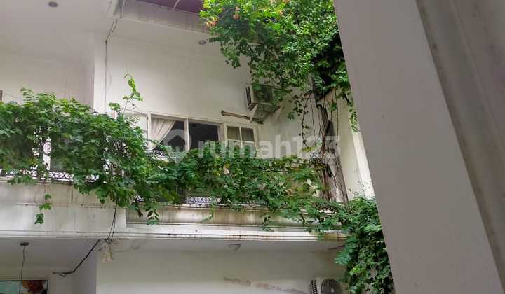 Rumah Lama di Jl.Pasuruan, Menteng Rumah Lama di Jl.Pasuruan, Menteng