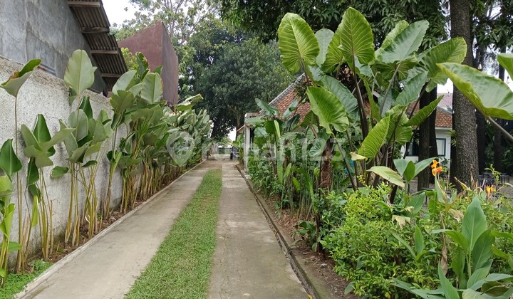 Tanah Lokasi Strategis Dan Nyaman diarea Jl. Caringin Tanah Lokasi Strategis Dan Nyaman diarea Jl. Caringin