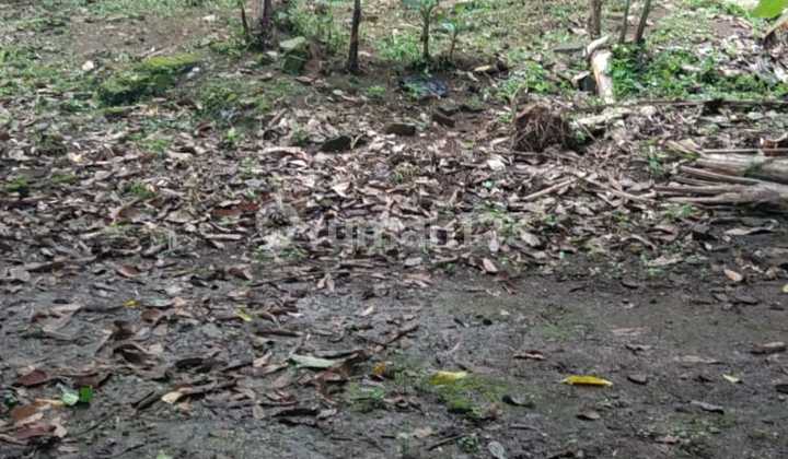 Land for sale in Subang, strategic location.