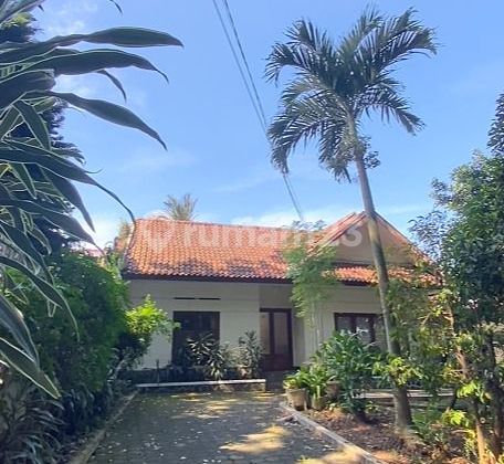 Jual/Sewa Rumah Tinggal Sayap Sukajadi Lokasi Strategis bisa Dijadikan Tempat Usaha