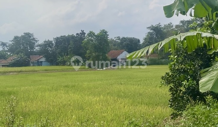 Tanah Kavling Padat SHM 935m2 di Legok Tangerang dekat Industri Tanah Kavling Padat SHM 935m2 di Legok Tangerang dekat Industri