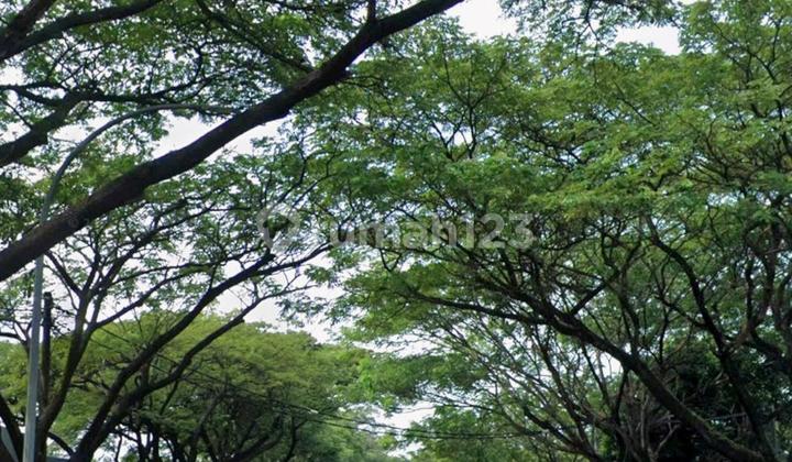 Rumah Hitung Tanah Kavling SHM Alam Sutera Elok Tangerang Rumah Hitung Tanah Kavling SHM Alam Sutera Elok Tangerang