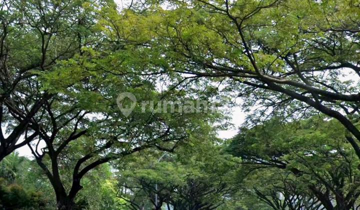 Rumah Hitung Tanah Kavling SHM Alam Sutera Elok Tangerang 2