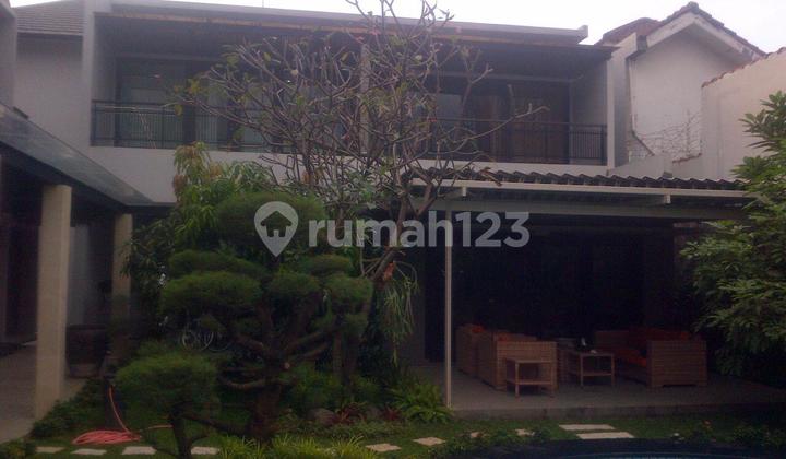 Rumah Mewah Ada Swimming Pool Carport 6 Mobil Lt 1150 Lb1000 Di Cilandak Jakarta Selatan