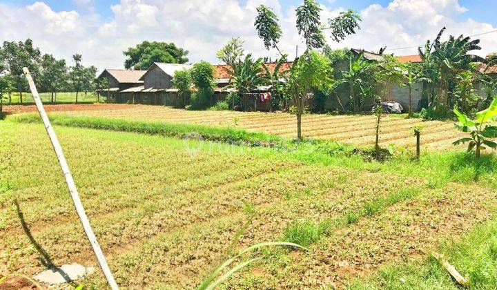 Dijual tanah pinggir jalan raya suka mekar babelan 1