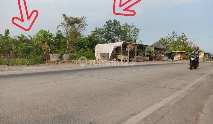 Jual Tanah Nol Jalan Raya Area Wonoayu 2