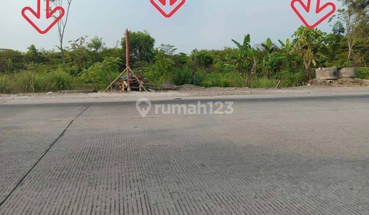 Jual Tanah Nol Jalan Raya Area Wonoayu 1