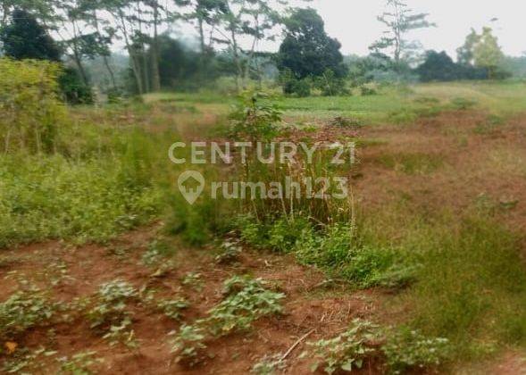 TANAH 7 HEKTAR DI CURUG SERANG COCOK UNTUK PERUMAHAN 2