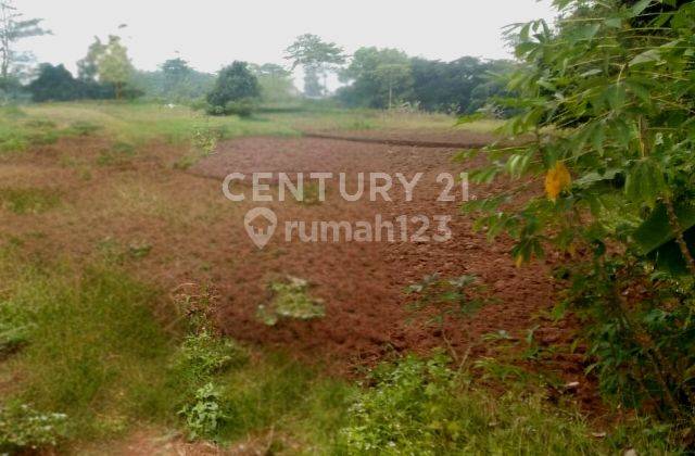 TANAH 7 HEKTAR DI CURUG SERANG COCOK UNTUK PERUMAHAN 1