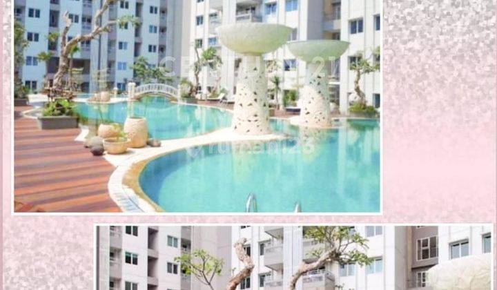 APARTEMEN CANTIK FULL FURNISHED 2BR DI SKY TERRACE LAGOON CONDO
 2