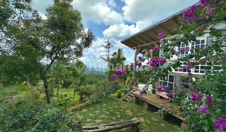 Villa dan Tanah 7 Hektar, Perkebunan Aktif di Wanayasa Purwakarta Villa dan Tanah 7 Hektar, Perkebunan Aktif di Wanayasa Purwakarta