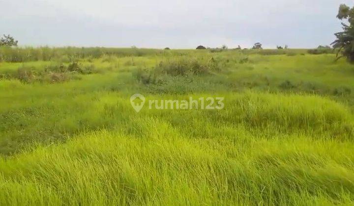 Tanah Perkebunan 15000m, SHM dekat Jalan raya Pantai Panthek 1