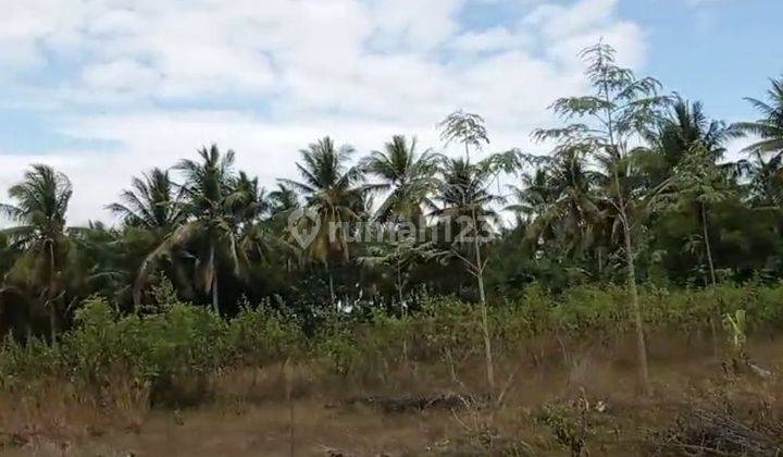 Tanah Kebun Cocok Untuk Bisnis Batu Bata Merah 2