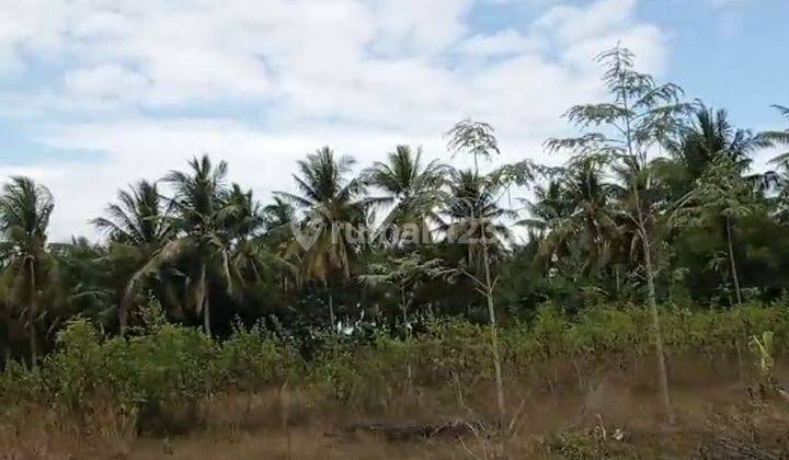 Tanah Kebun Cocok Untuk Bisnis Batu Bata Merah 1