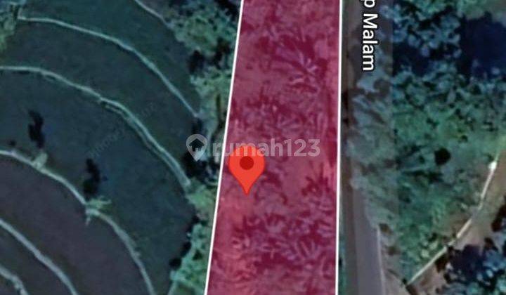 Dijual Tanah Murah Strategis 1.000 m² di Wilo, Prigen, Pasuruan, Jawa Timur (SHM)  1