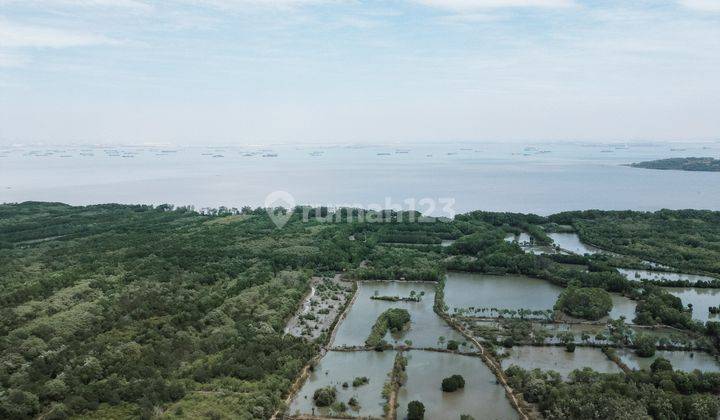 Tanah 20.000 m² di Jl. Nasional 21, Area Sawah Kebun, Buluh, Kec. Socah, Kabupaten Bangkalan, Jawa Timur SHM  2