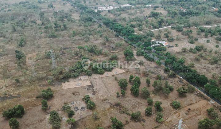 Tanah di Sendang Dajah, Labang, Bangkalan, Jawa Timur, Bangkalan SHM 29.000 m² 2