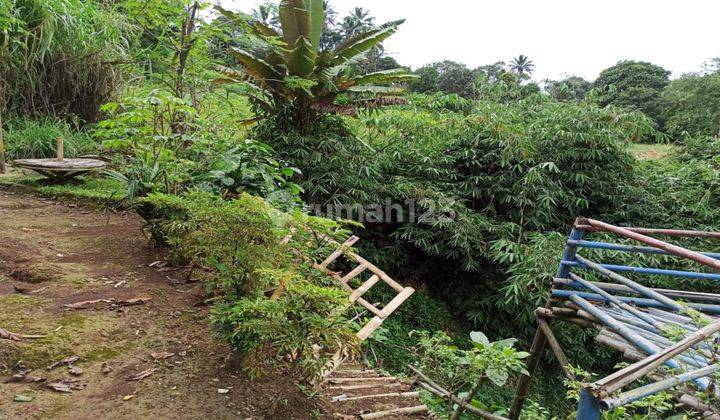 Dijual Tanah Di Sukabumi Cocok Untuk Villa, Perkebunan Buah, Dll 2