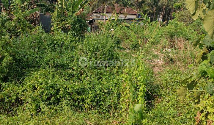 Tanah Kosong Daerah Tabanan, Dijual 2