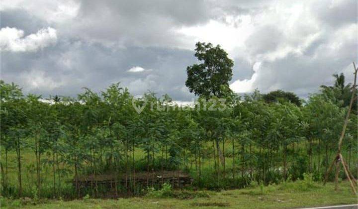 Tanah Di Lombok Tengah, Dekat Airport Mandalika Buc