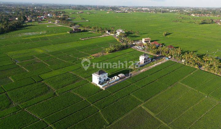 Sewa Villa Tahunan di Bali, Tabanan 2