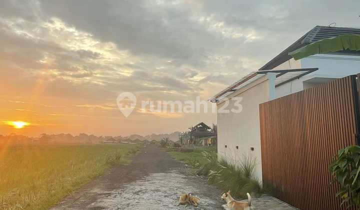 Furnished Villa in Kedungu, Bali