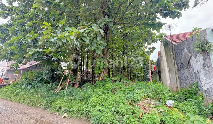 Jual Tanah di Cibinong Dekat Exit Tol Sentul Luas 800M SHM Jual Tanah di Cibinong Dekat Exit Tol Sentul Luas 800M SHM