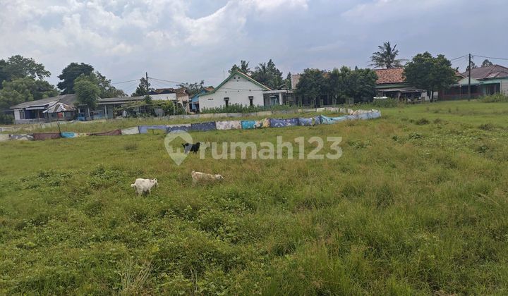 Tanah di Cikupa SHM 2360.0 m²