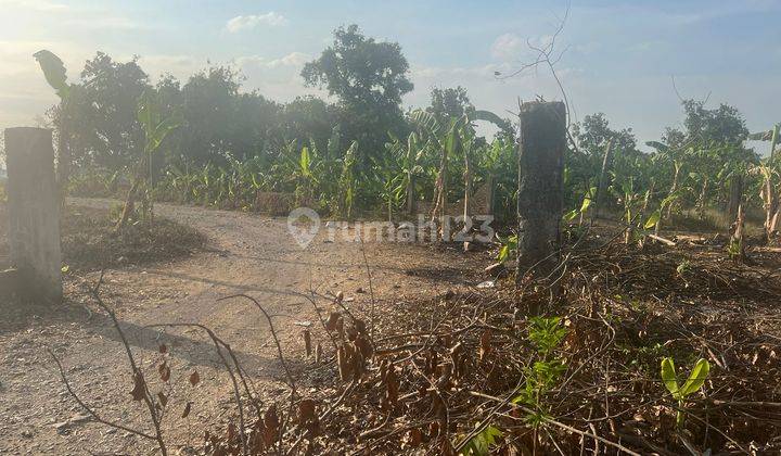 TANAH 1,5 HEKTAR DI JALAN RAYA JATIBARANG, INDRAMAYU, JAWA BARAT 2