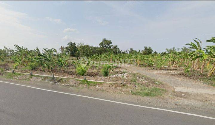 TANAH 1,5 HEKTAR DI JALAN RAYA JATIBARANG, INDRAMAYU, JAWA BARAT 1