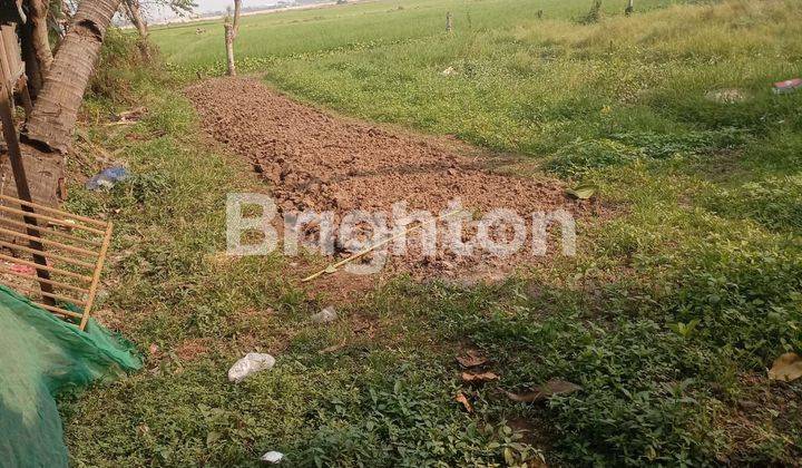 DI  MURAH TANAH DI  KEBON KECAP,KAB TANGERANG Rp.120juta(nego) 1