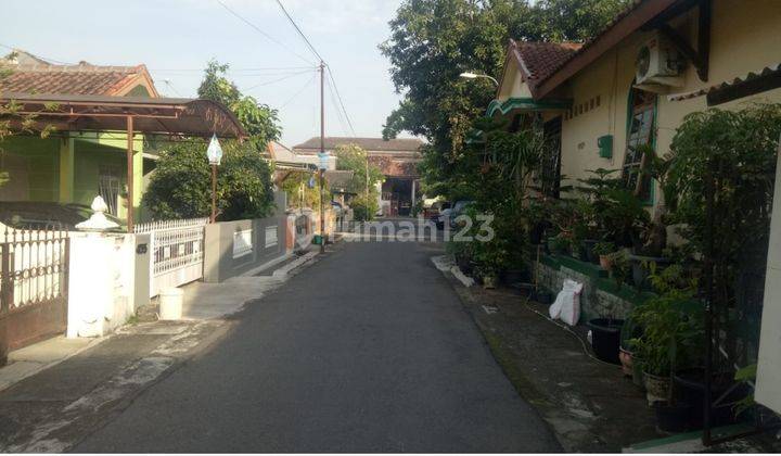 RUMAH APIK DI KOTAGEDE YOGYAKARTA 1