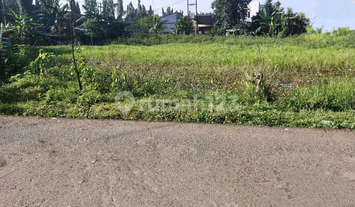 Dijual Murah Tanah dengan Pembayaran Termint di Burangkeng Setu Bekasi Dijual Murah Tanah dengan Pembayaran Termint di Burangkeng Setu Bekasi