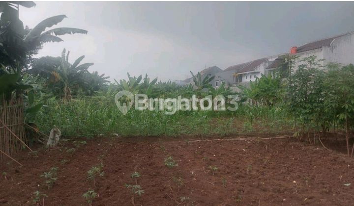 Jual Tanah Kavling Karangan Raya Gn. Putri Puspasari, Citeureup Bogor