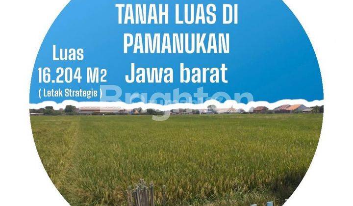 Lahan tanah rata Pamanukan 2