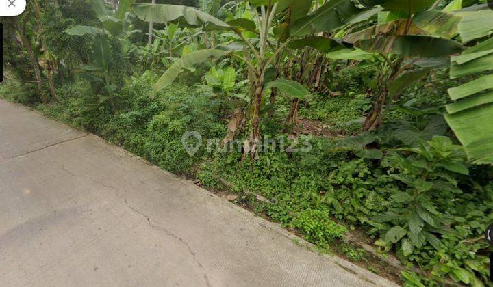 Dijual tanah di desa cikasungka solear 500 rb/ m nego 1