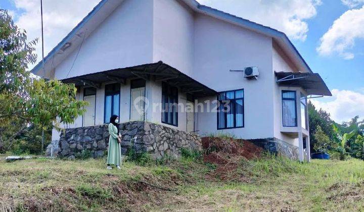 beli tanah bonus kebun durian, kebun alpukat, dan villa 2