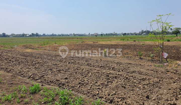 For Sale Fast Commercial Land per m² Along Main Road Ready to Build with SHM Certificate _ Babelan City
