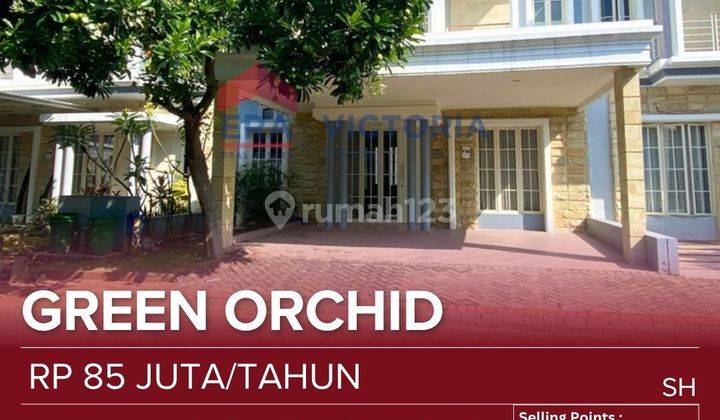 Disewakan Rumah Full Furnished Di Tengah Kota Dekat Kuliner 1