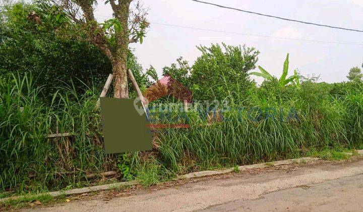 Tanah Kebun Jeruk Akses Alternatif Ke Kota Batu Dekat Kantor Desa Kalisongo Dan Karangwidoro 2