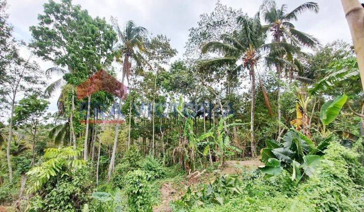 Tanah Usaha Pembibitan Lele Alat alatnya Dekat Wisata Lembah Indah Gunung Kawi 2